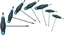Hazet Skrutrekkersett 829KKT/7 7 deler med T-håndtak | innv. TORX® | T9 | T1