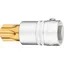 Hazet Skrutrekkerpipe 1012-T100 NV T100 3/4 tomme (2 mm) firkantdrev