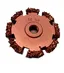 Raspeskive 50 X 5 Mm, 16K