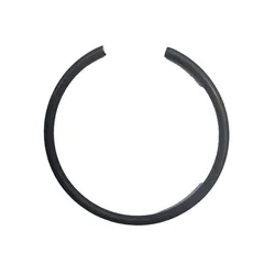 Spring Ring