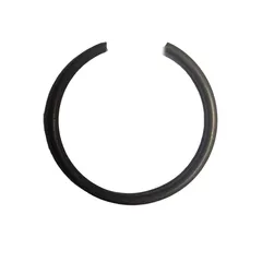 Spring Ring
