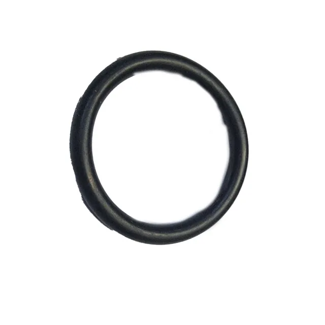 Sealing Ring 