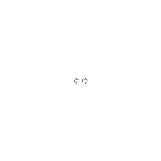 SWF Symbol, Vindusheis 