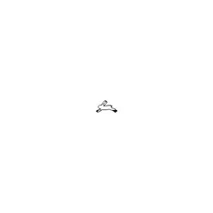 SWF Symbol, Rask