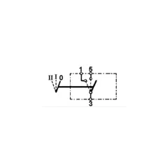 Swf Bryter 2 Trinn 12 Volt (C)